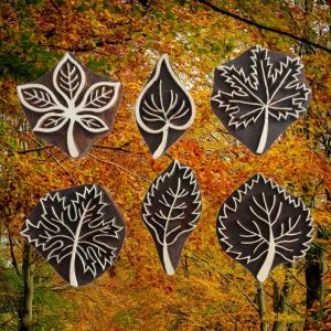 Autumn leaves