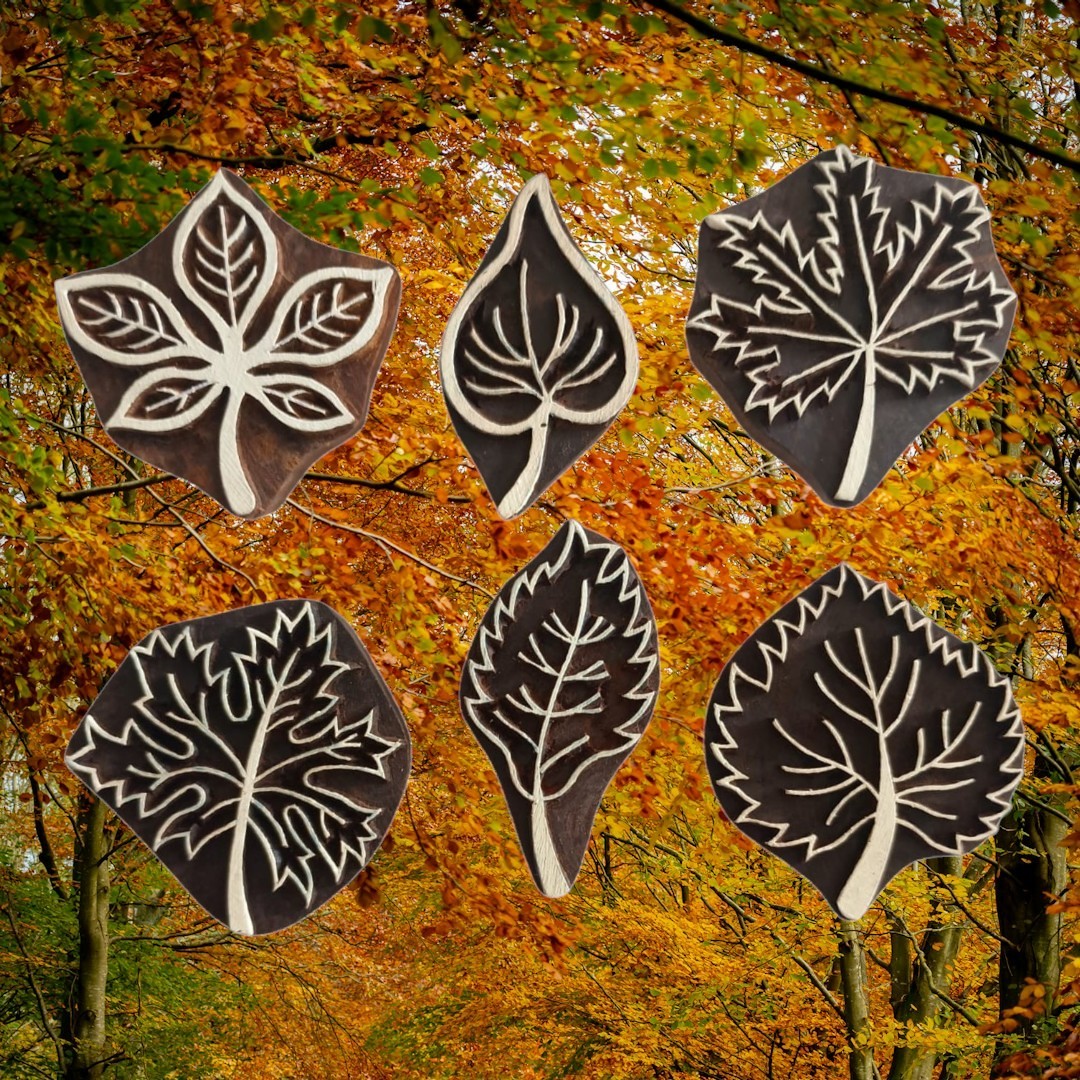 Autumn leaves